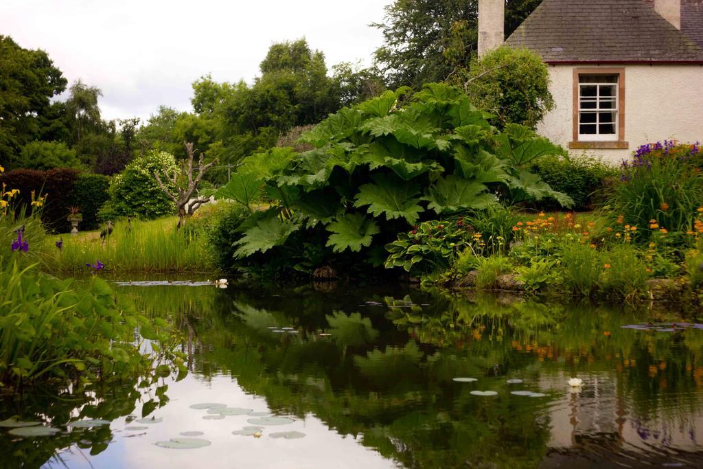 فندق موير أوف أوردفي  The Dower House الغرفة الصورة